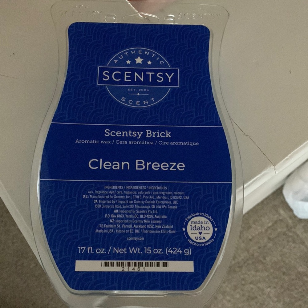 Scentsy Brick